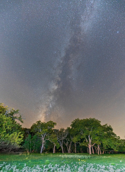 Ingram TX. by Photography by Steffen