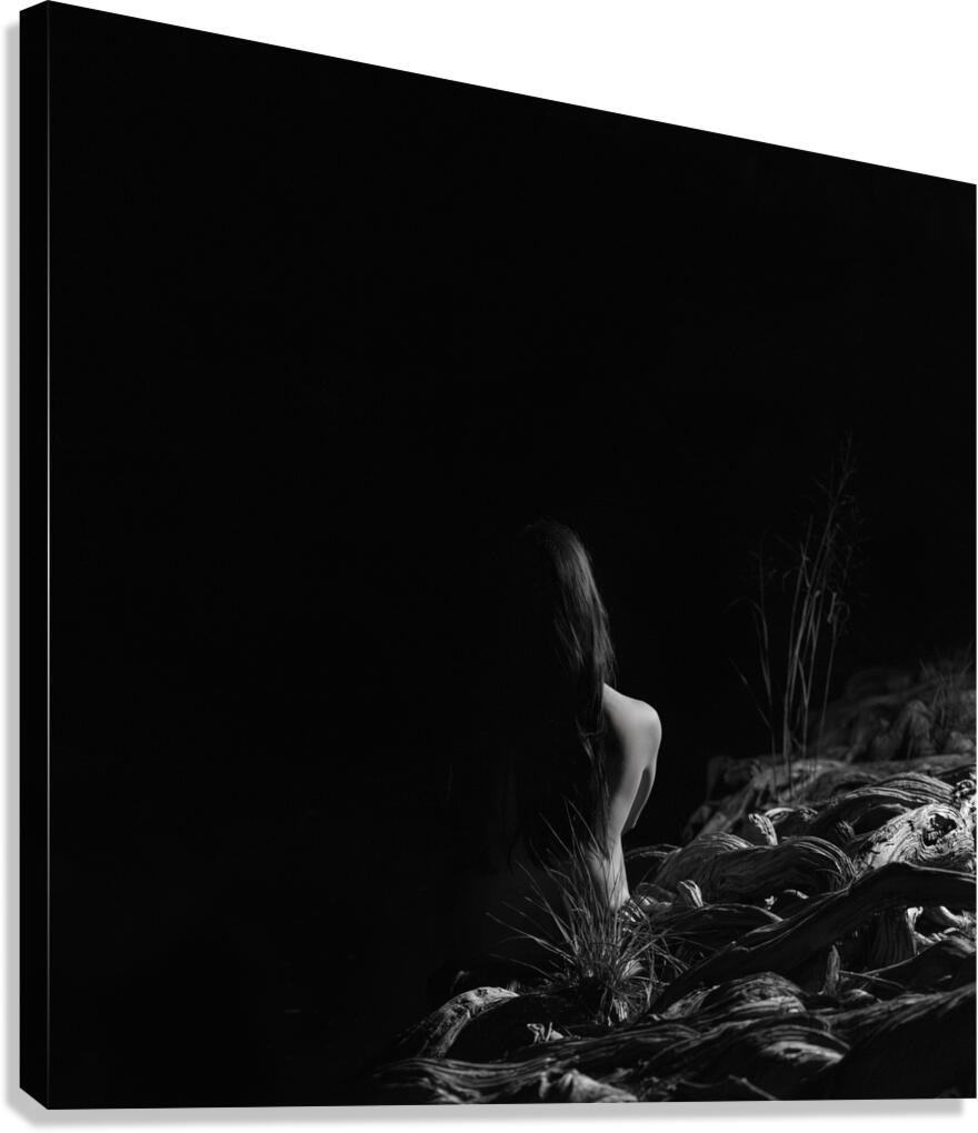 Full Moon Along the Guadalupe Canvas Print