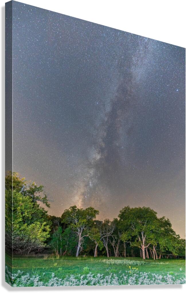 Ingram TX. Canvas Print