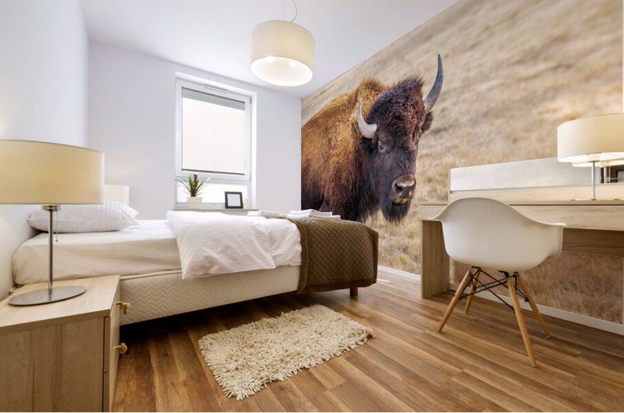 Camp Verde TX. Mural print