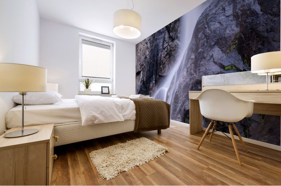 Yosemite National Park CA. Mural print