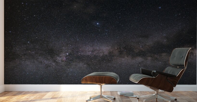 Mammoth Lakes CA Wall Murals