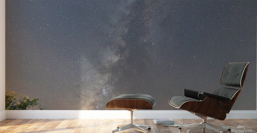 Ingram TX. Wall Murals