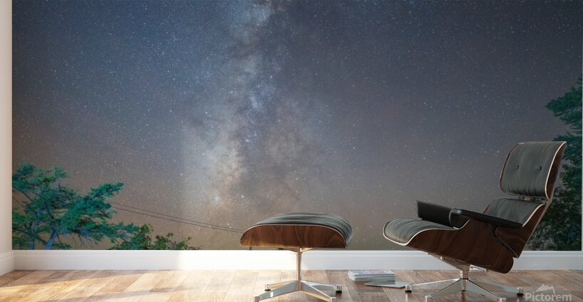 Hunt TX. Wall Murals