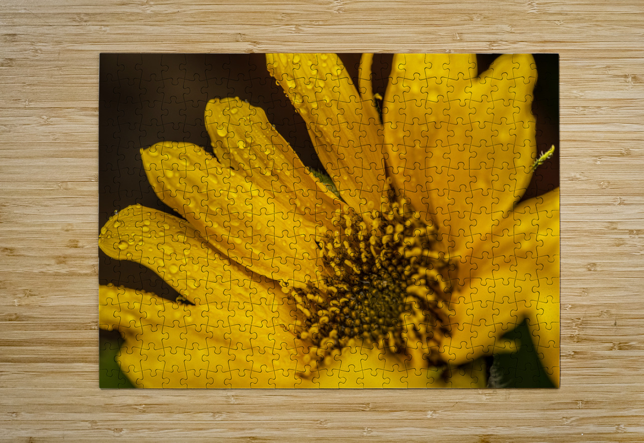 Sunflower Photography by Steffen Puzzle printing