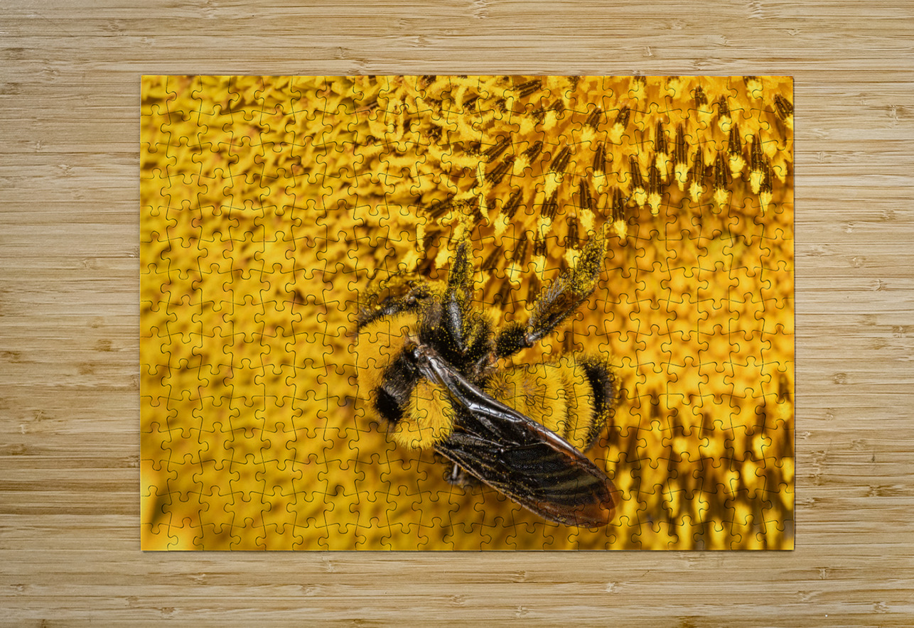 Sunflow Bee Photography by Steffen Puzzle printing