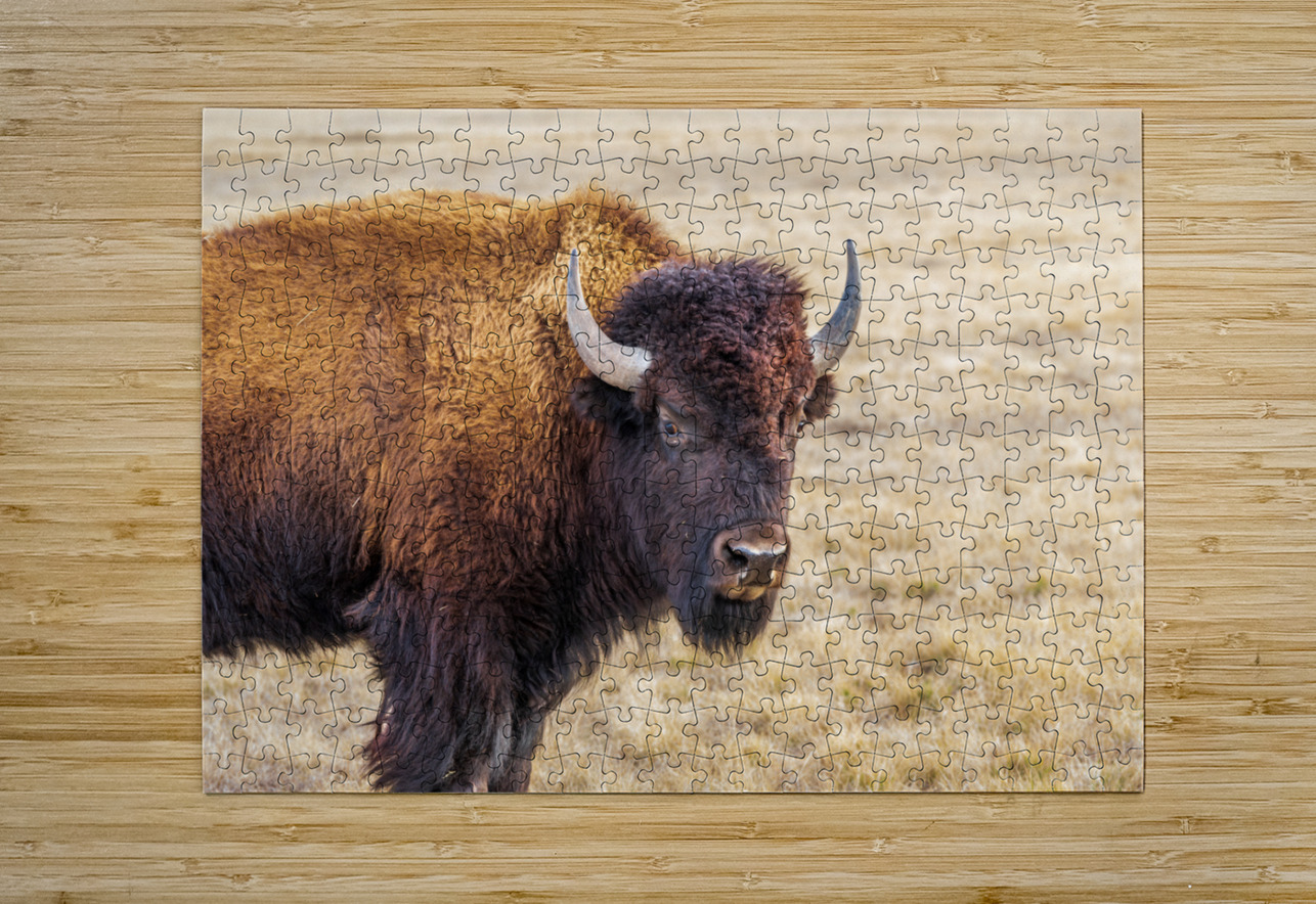 Camp Verde TX. Photography by Steffen Puzzle printing