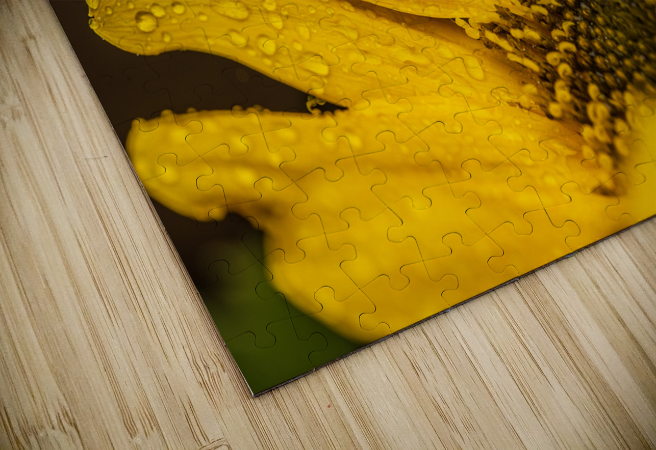 Sunflower Photography by Steffen Puzzle