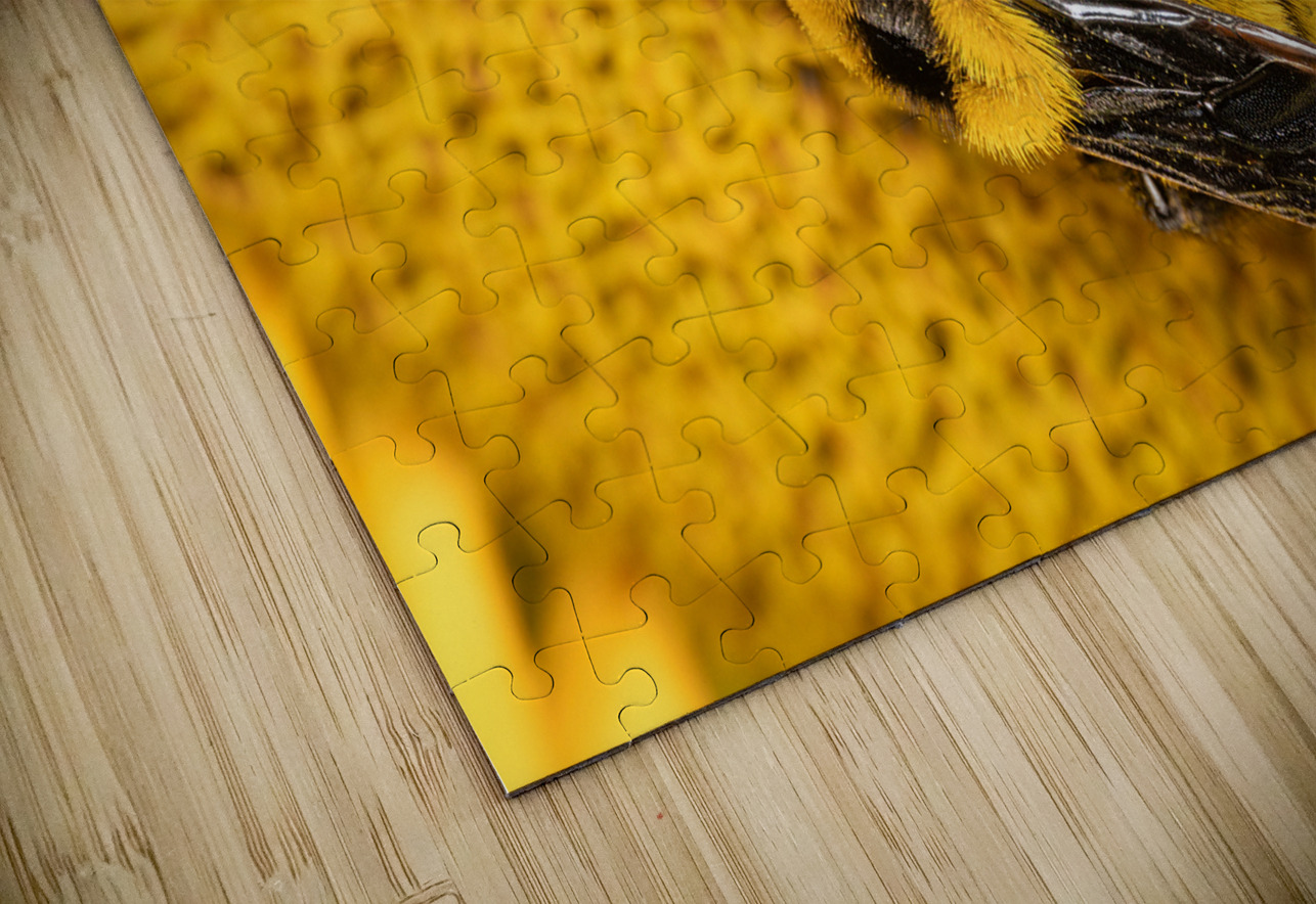 Sunflow Bee Photography by Steffen Puzzle