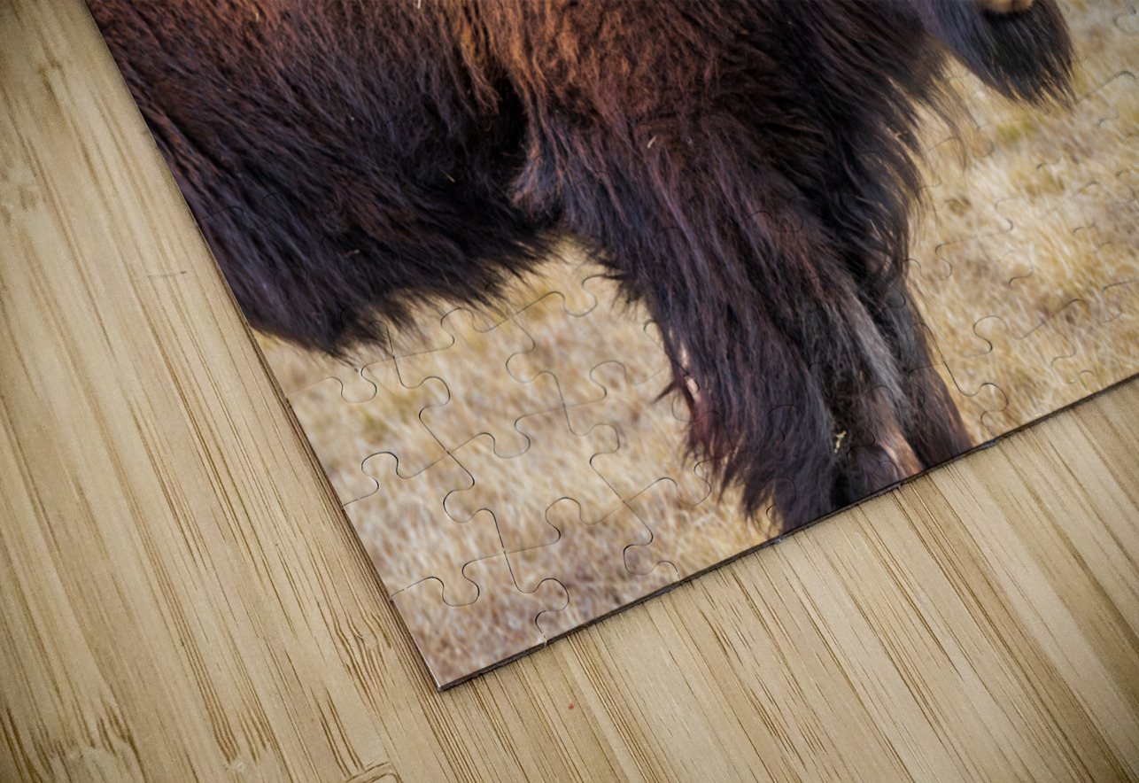 Camp Verde TX. Photography by Steffen Puzzle